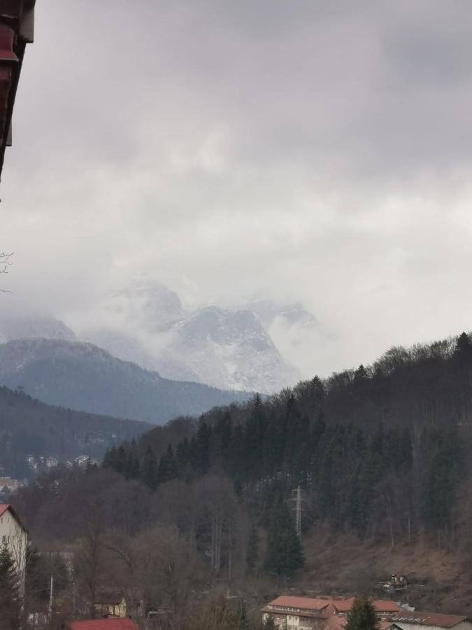 Apartament Panoramic View Sinaia Apartman Kültér fotó